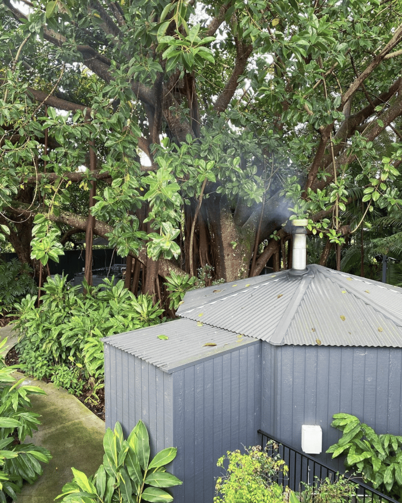 Bathe under the Figtree at Bathhouse at Ground