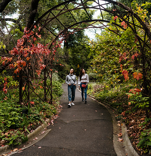 must try Royal Botanic Gardens