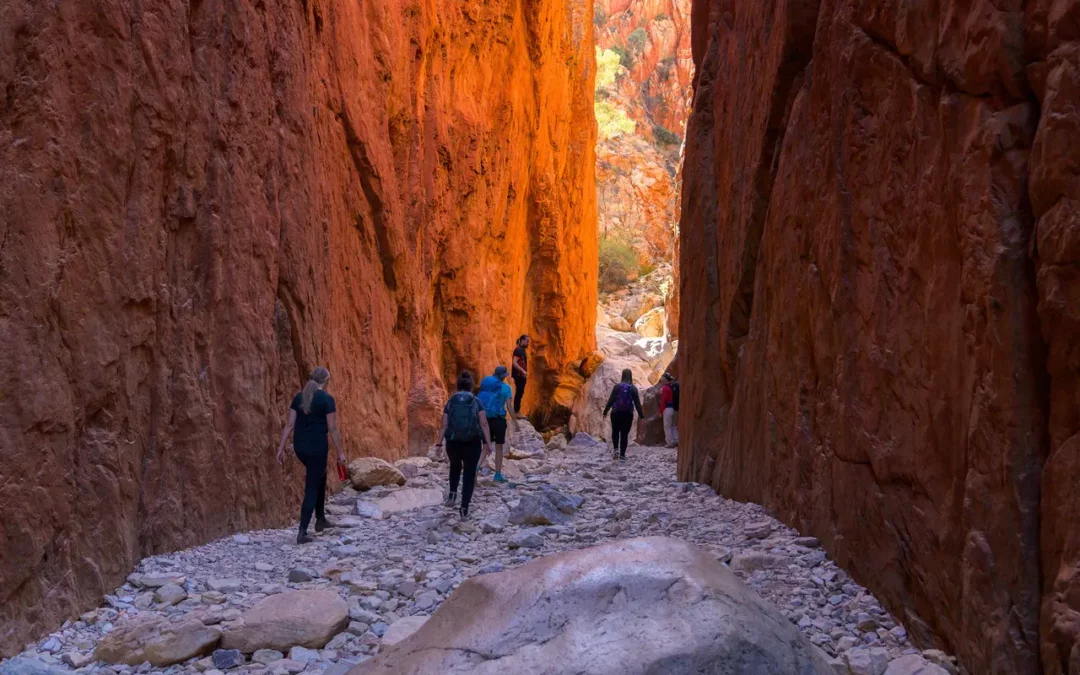 Larapinta Leadership Journey with Paul Tribe