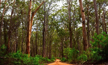 Margaret River
