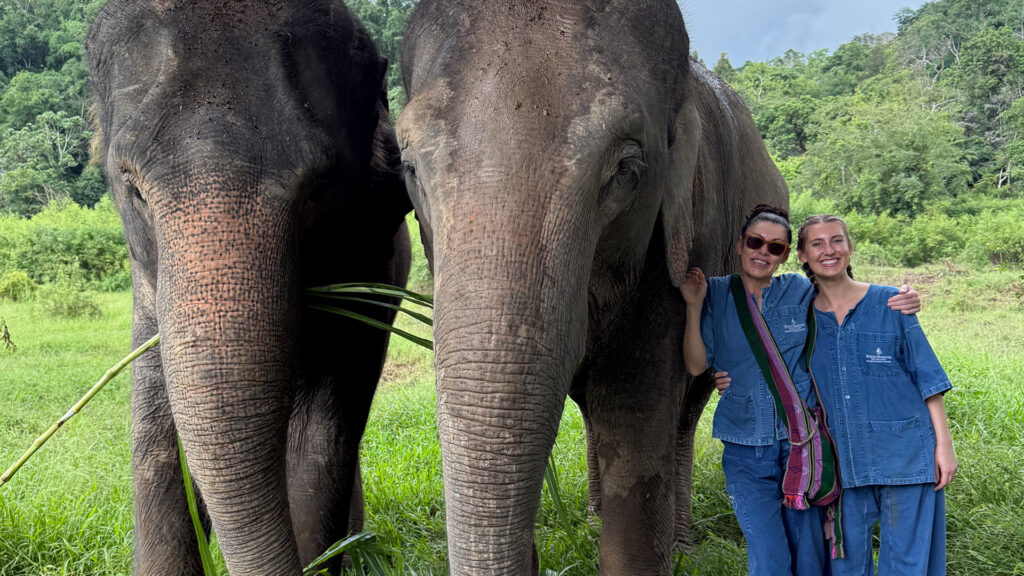 Four Seasons Tented Camp