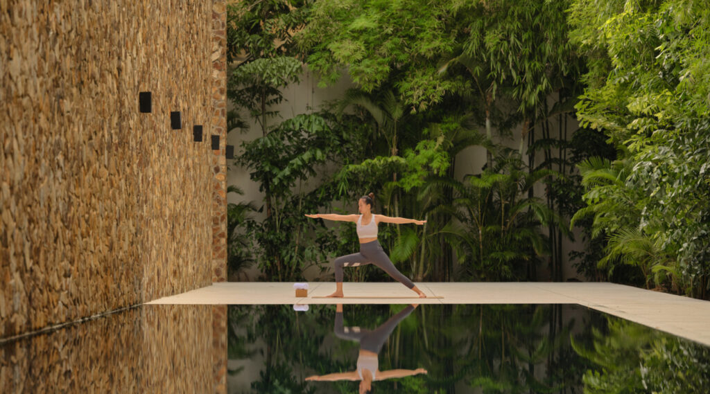 Amansara