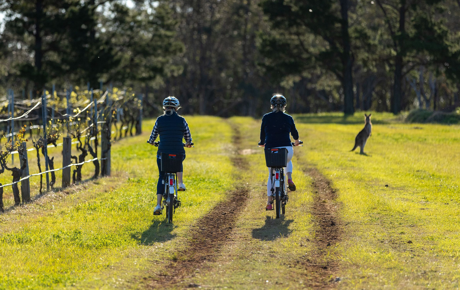 Southern Highlands & Kangaroo Valley Southern Highlands & Kangaroo Valley