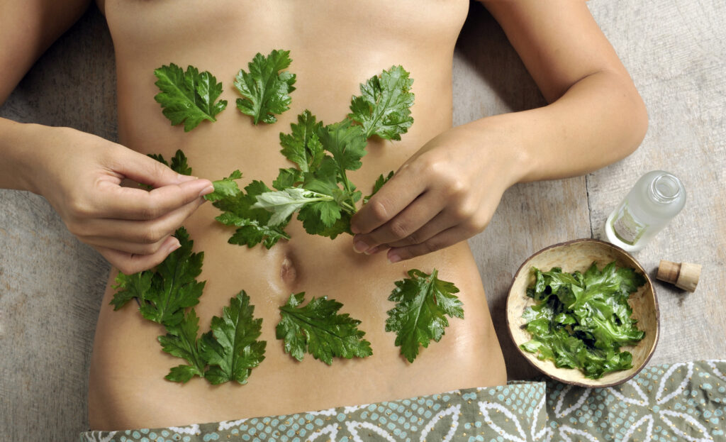 Healing Green Season