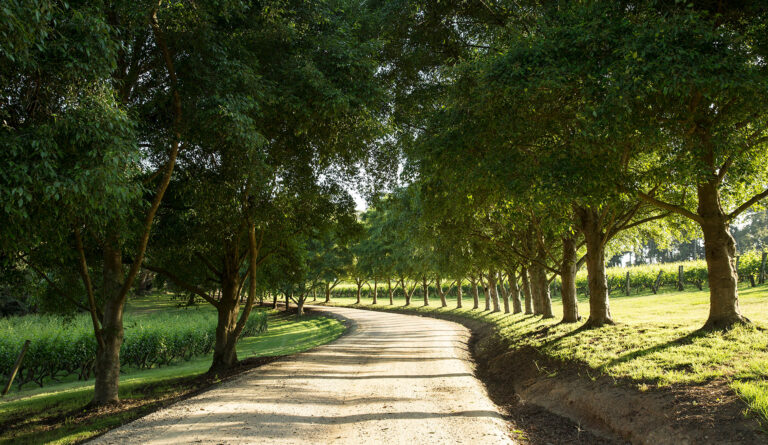 The Art of Slowing Down