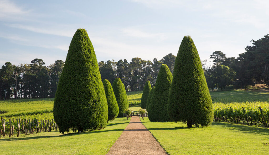 The High Country's Grape Escape